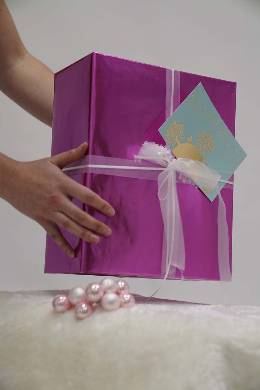 Fachtrageberaterzertifizierung - Basic Paket - KOKADI